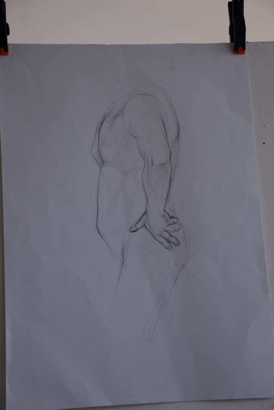 Sketch Drawing